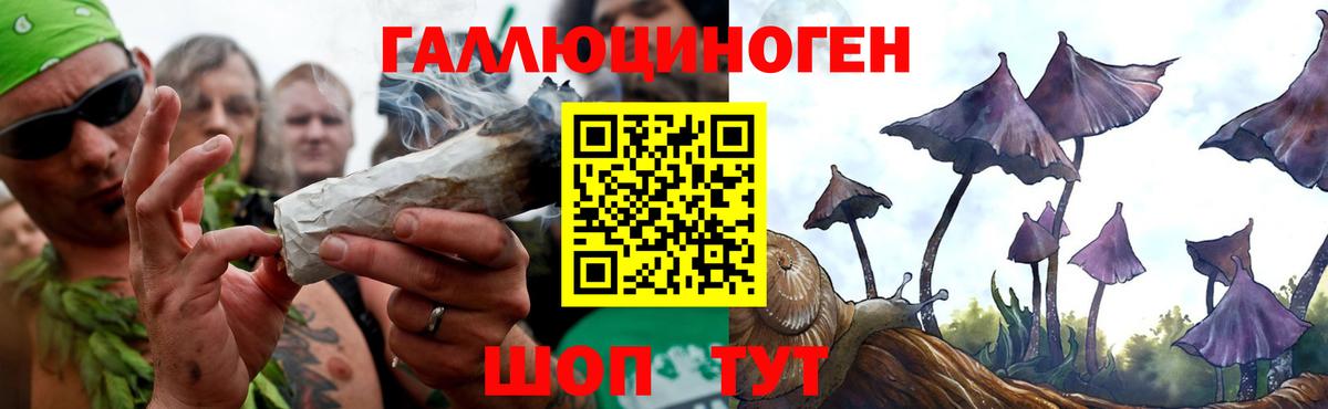 Псилоцибиновые грибы мицелий Бирск