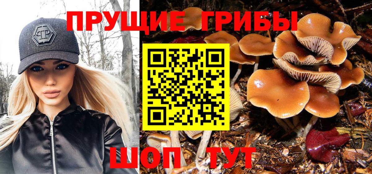 Бирск  Псилоцибиновые грибы Magic Shrooms  Псилоцибиновые грибы мухоморы  Вход с VPN 